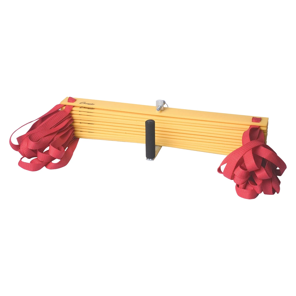Champion Sports Agility Ladder