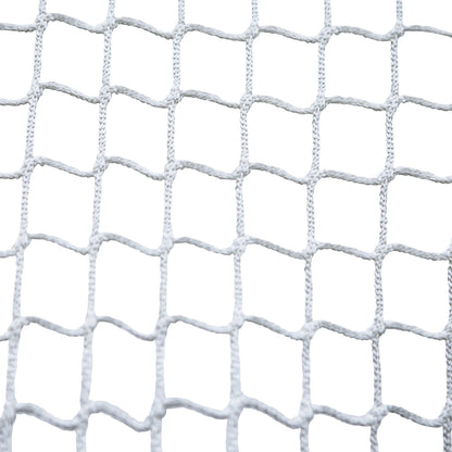 Champion Sports Lacrosse Net Pair