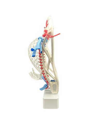 Warrior QX2-D Strung Lacrosse Head